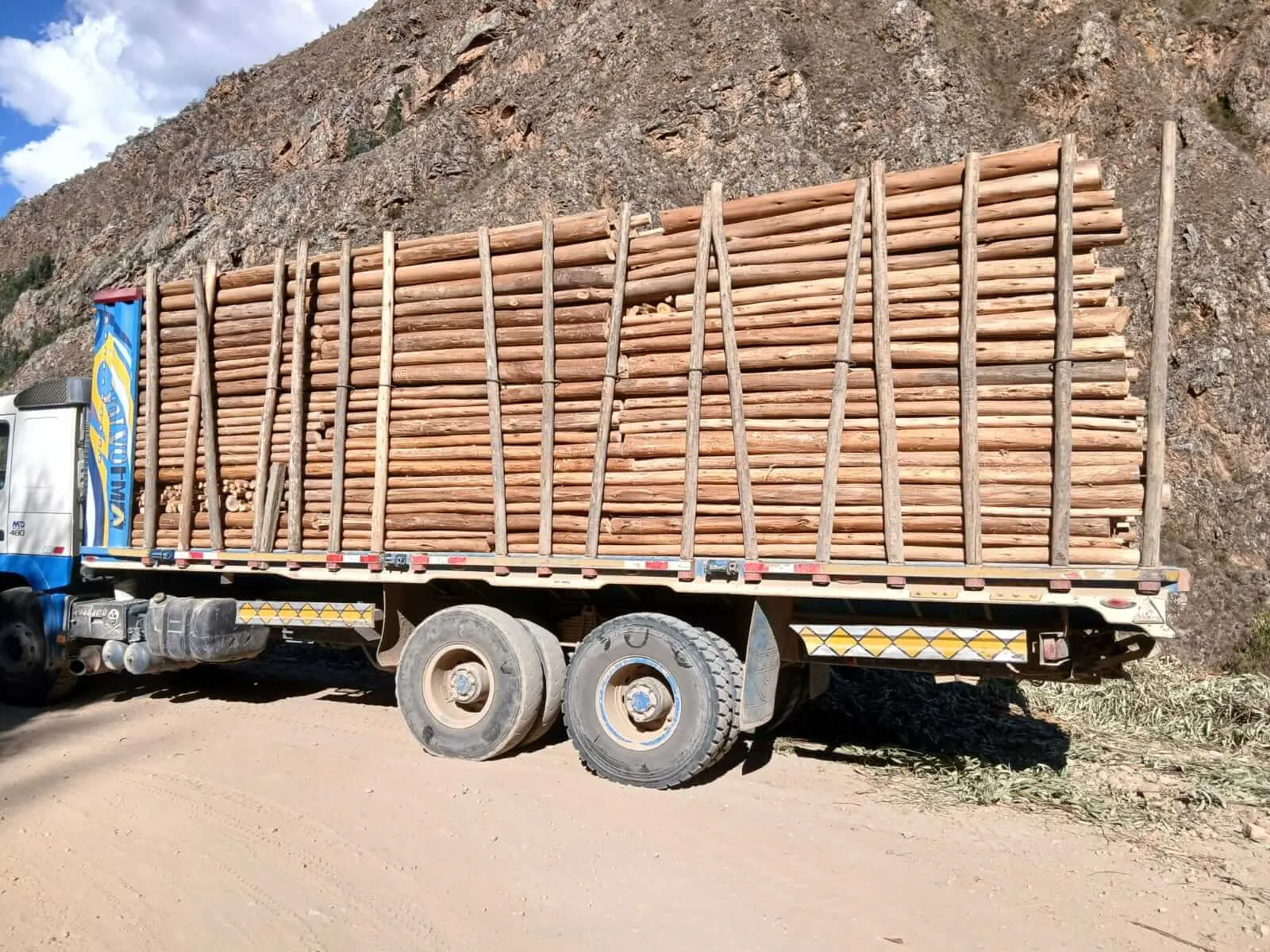 Camión de Sabinita cargado con rollizos de eucalipto en carretera